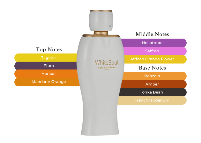 Brand Story Image 2