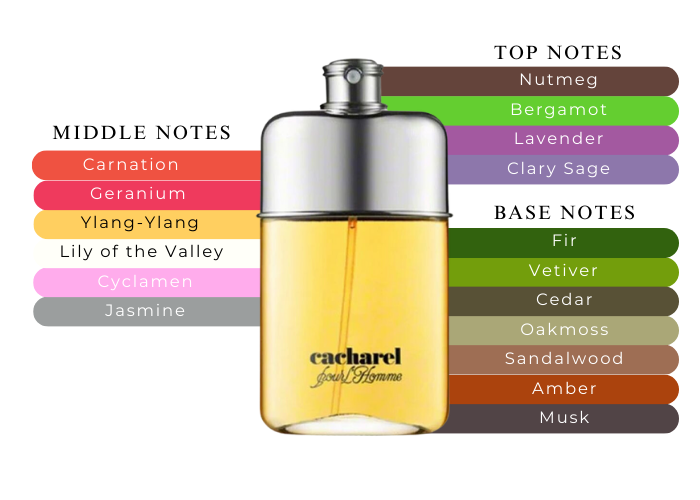 Brand Story Image 2