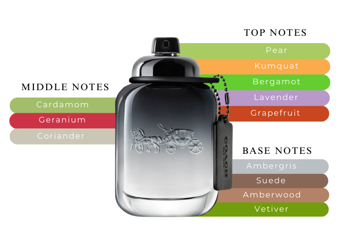 Coach Men-Elevate Your Presence with Sophistication and Style