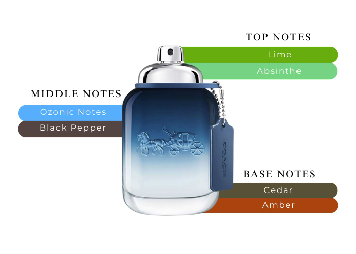 Coach Blue-A classic that will never go out of style