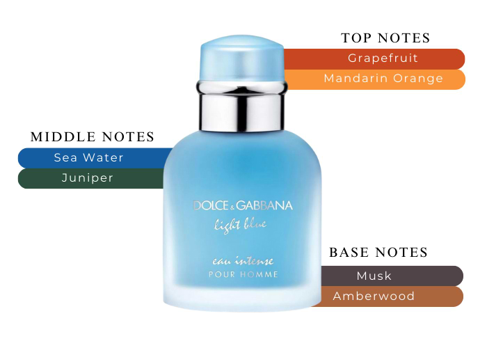 Bask in the Radiant Glow-Dolce & Gabbana Light Blue Eau Intense