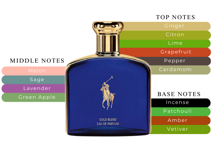 Polo Cologne Ralph Lauren Polo Blue Gold Polo Blue Gold Blend By