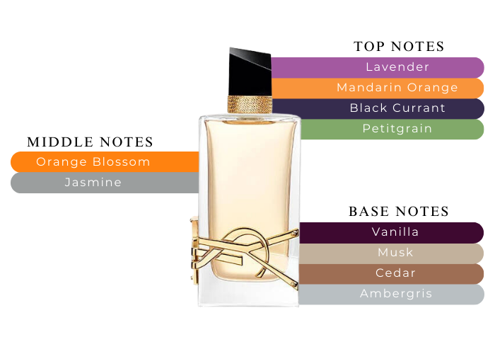 B*i様 Yves Saint Laurent LIBRE 30ml オードパル Libre Yves Saint Laurent Women 2 Pieces Set 3.0 oz & 0.33 oz