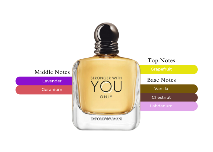 Stronger With You Only Emporio Armani-A Stand out Fragrance