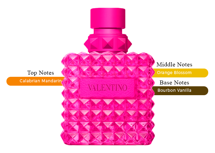 Valentino Born in Roma Rendez-Vous Pink PP-Journey into Elegance