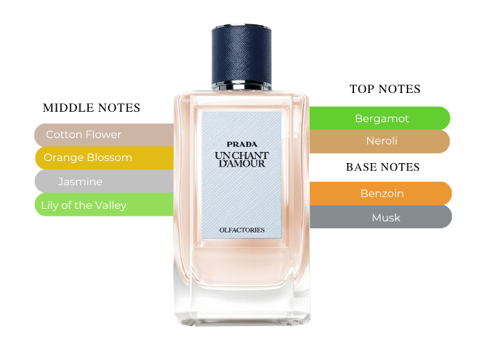 Brand Story Image 2