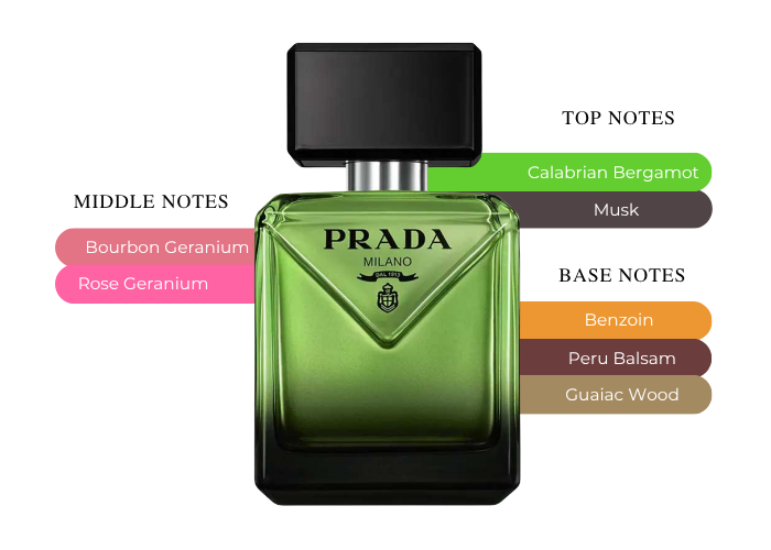 Brand Story Image 2