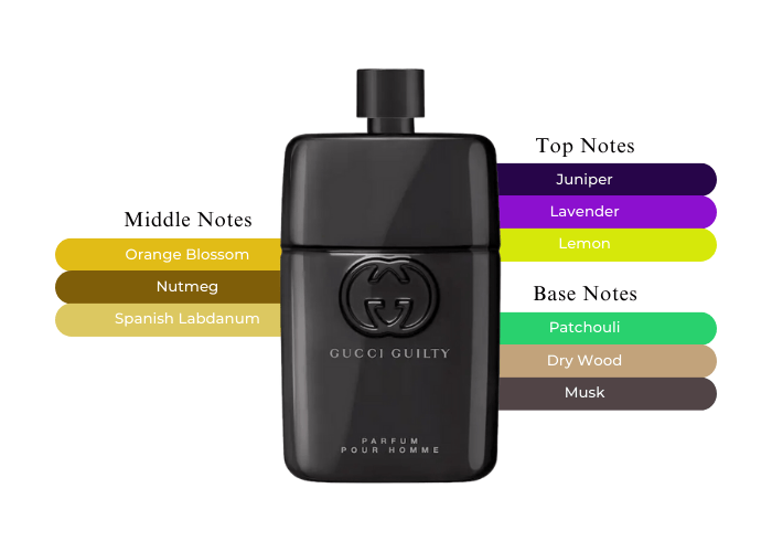 Gucci Guilty Pour Homme Parfum-It's your money worthy