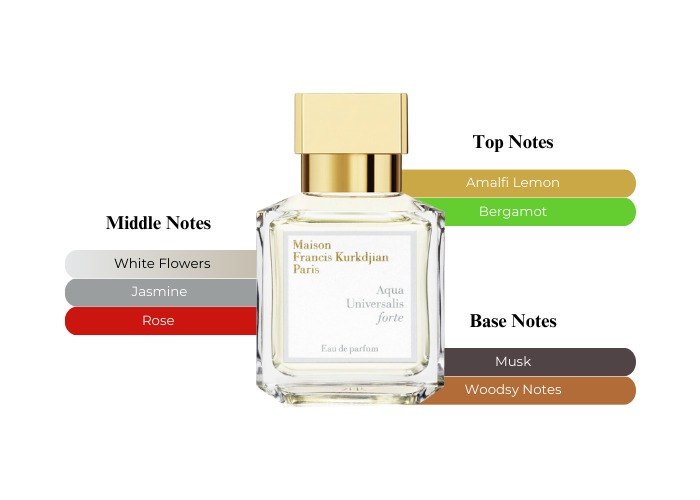 Aaron Terence Hughes Hard Candy Elixir