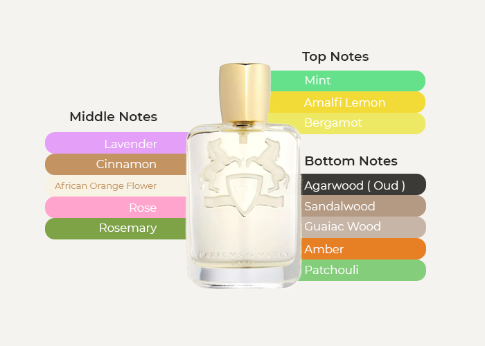 Get a Parfums De Marly Darley for Men online, free 2 days