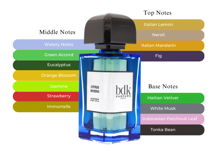 BDK Citrus Riviera - The Best Citrus Fragrance Ever