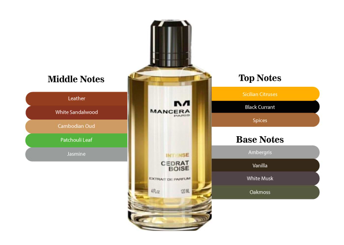 Mancera Intense Cedrat Boise -Free Shipping & Returns-MaxAroma