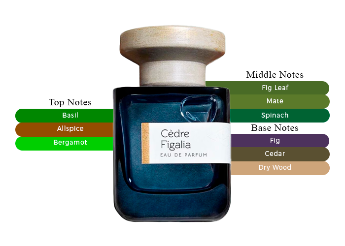 JUN　ATELIER MATERI Cedre Figalia Atelier Materi Cèdre Figalia Eau de Parfum | ZGO Perfumery