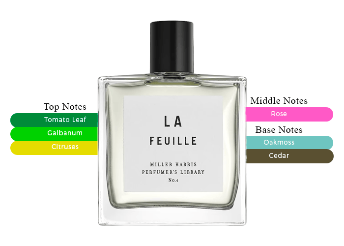Brand Story Image 2