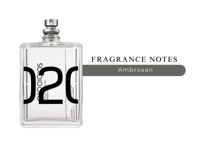 Brand Story Image 2