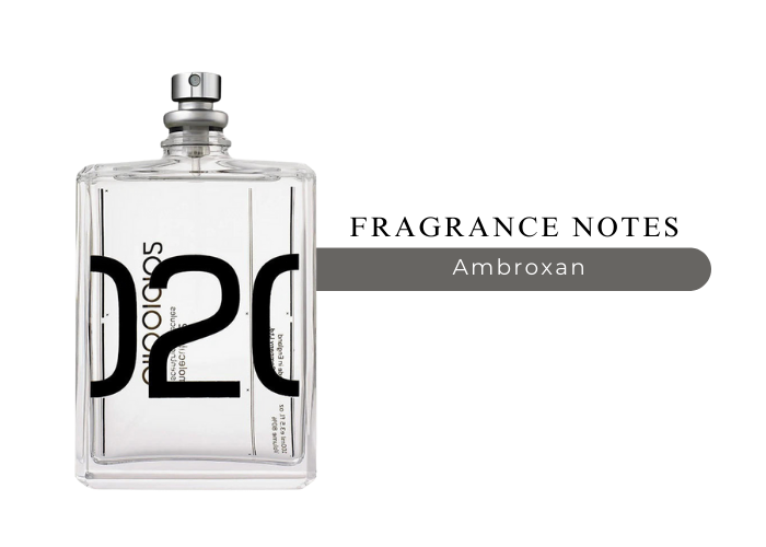 Brand Story Image 2