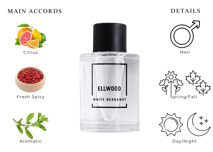香水(ユニセックス) Abercrombie&Fitch ELLWOOD Abercrombie&Fitch ELLWOOD 200ml - メルカリ