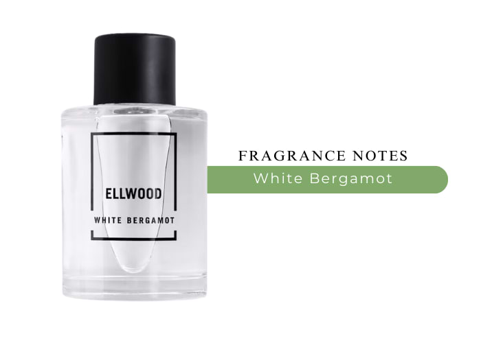 香水(ユニセックス) Abercrombie&Fitch ELLWOOD Abercrombie & Fitch Ellwood Eau De Parfum |MaxAroma.com