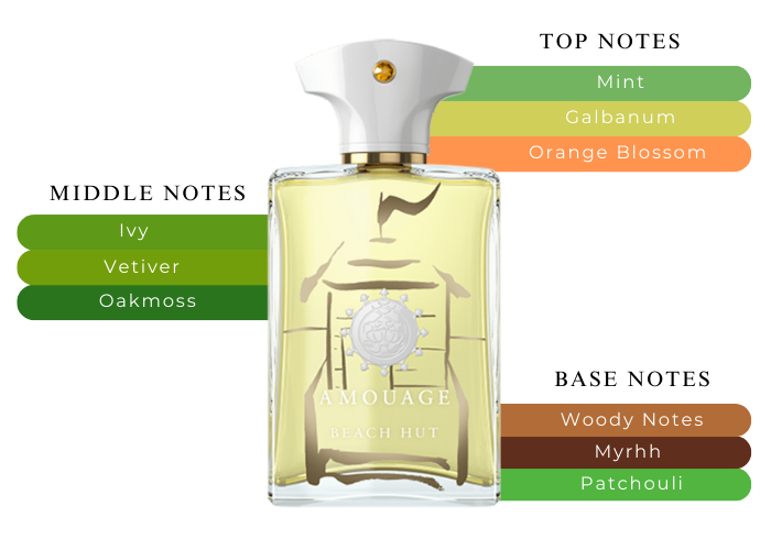 香水(男性用) AMOUAGE BEACH HUT MAN - 100ML Amouage Beach Hut Man Eau De Parfum Spray – Fragrancelord.com