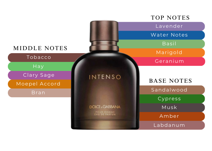 Intenso by Dolce & Gabbana Eau De Parfum 4.2 OZ|Maxaroma.com