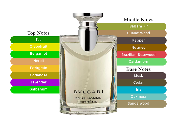 Dive into the Unapologetic Intensity-Bvlgari Pour Homme Extreme
