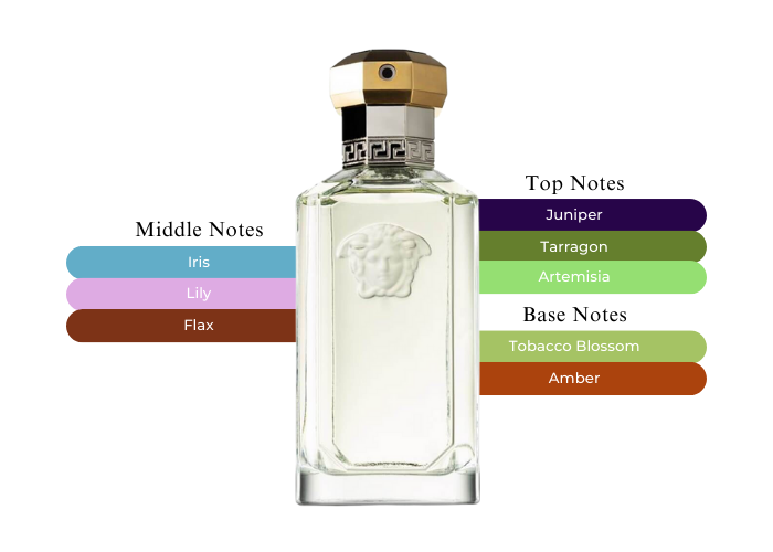 The Dreamer by Versace Eau De Toilette 3.4 OZ |MaxAroma.com