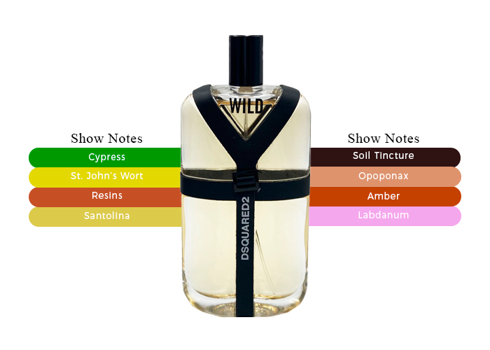 Brand Dsquared2 Dsquared Wild Eau De Parfum Wild Eau De Toilette