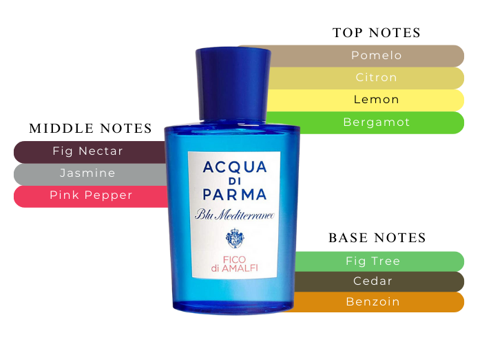 Jlkm　ACQUA DI PARMA FICO DI AMALFI Fico Di Amalfi Eau De Toilette - Blu Mediterraneo | Acqua di