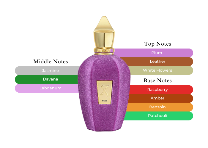 セルヨッフ XERJOFF MUSE ミューズ 100 ml 香水 Xerjoff Muse Parfum | FragranceNet.com®