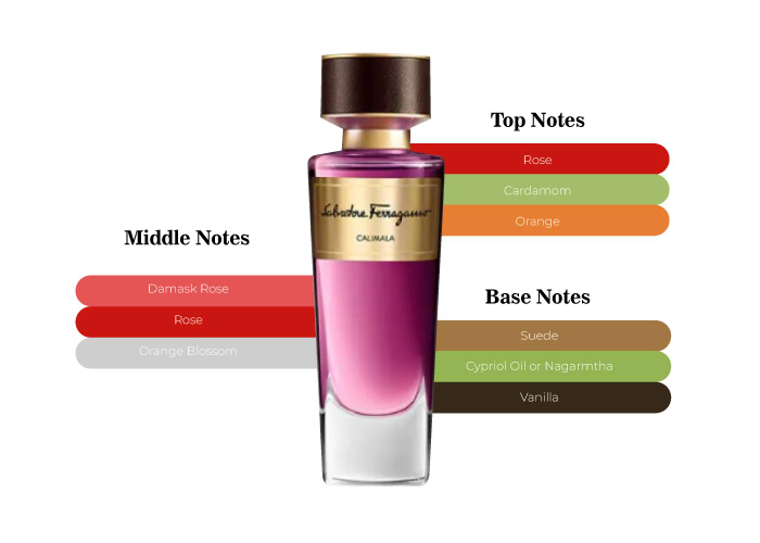 Brand Story Image 2