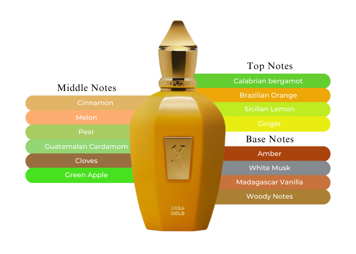 ⭐️新品未開封⭐️XERJOFF⭐️ ERBA GOLD 香水100ml Amazon.com : Xerjoff Erba Gold Eau De Parfum Spray, 3.4
