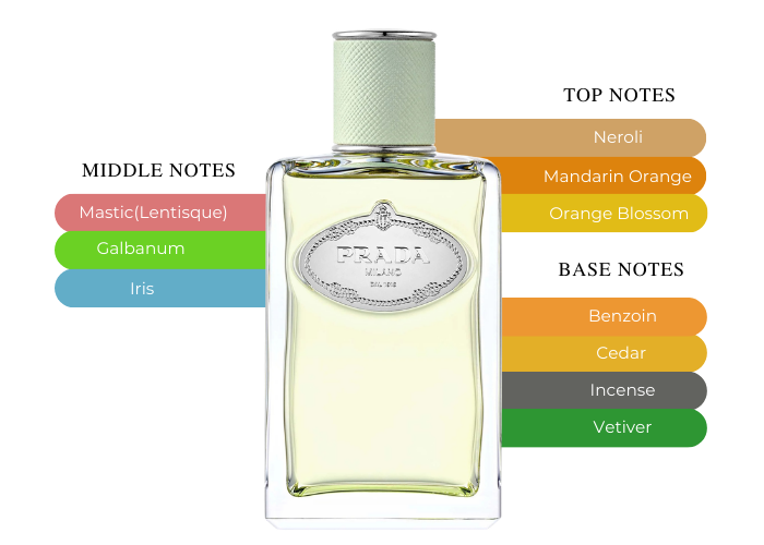 Experience the Captivating Aroma of Prada Infusion D'iris Perfume Experience the Captivating Aroma of Prada Infusion D'iris Perfume