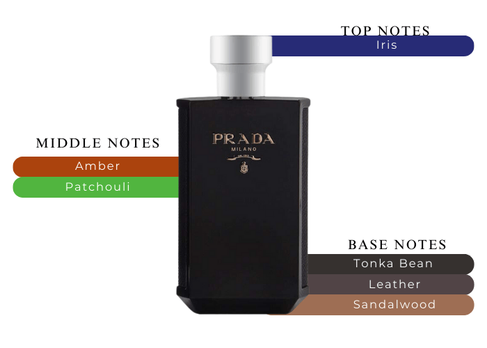 【PRADA】 L'Homme Intense 100ml Amazon.com : Prada L'homme Intense Eau de Parfum Spray for