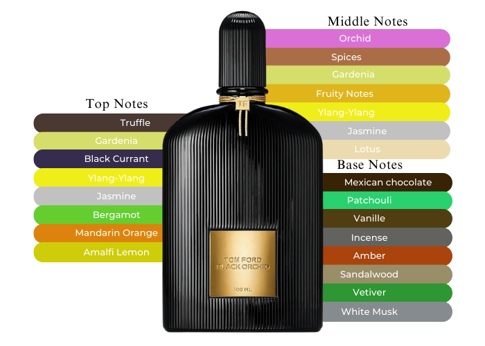 Tom Ford Black Orchid-A Must-Have for Fragrance Aficionados