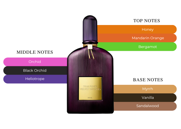 Step into a World of Sensual Majesty with Tom Ford Velvet Orchid