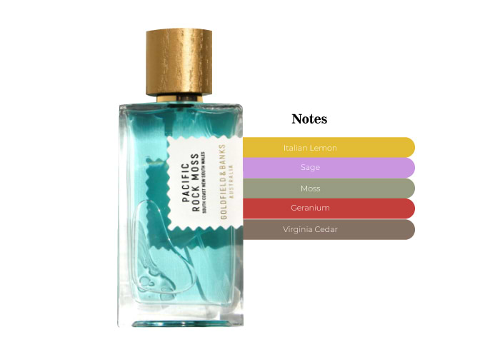 Pacific Rock Moss Goldfield & Banks - A Modern Oceanic Scent