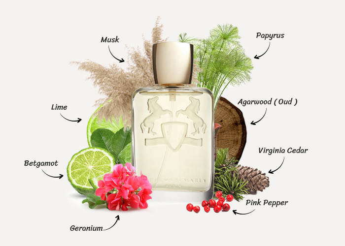 Brand Story Image 1