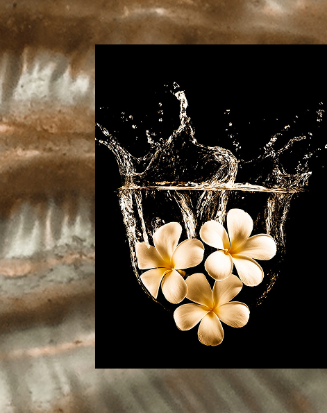 Laurent Mazzone fragrance collection promotional banner