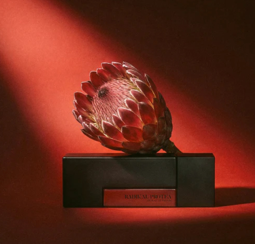 Laurent Mazzone fragrance collection showcase
