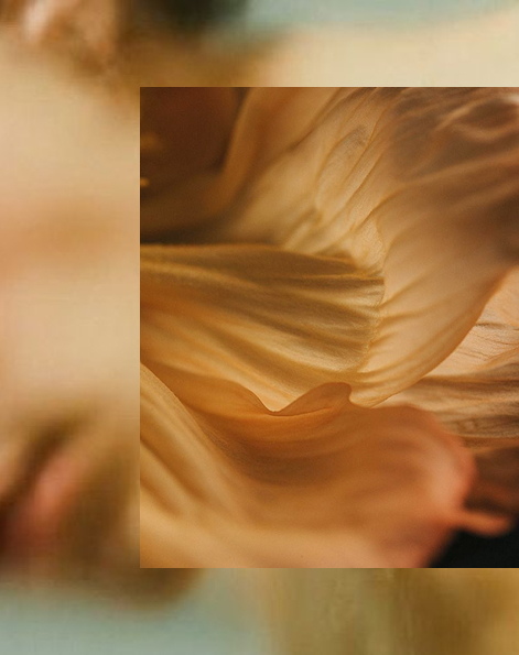 Precious Liquid fragrance collection promotional banner