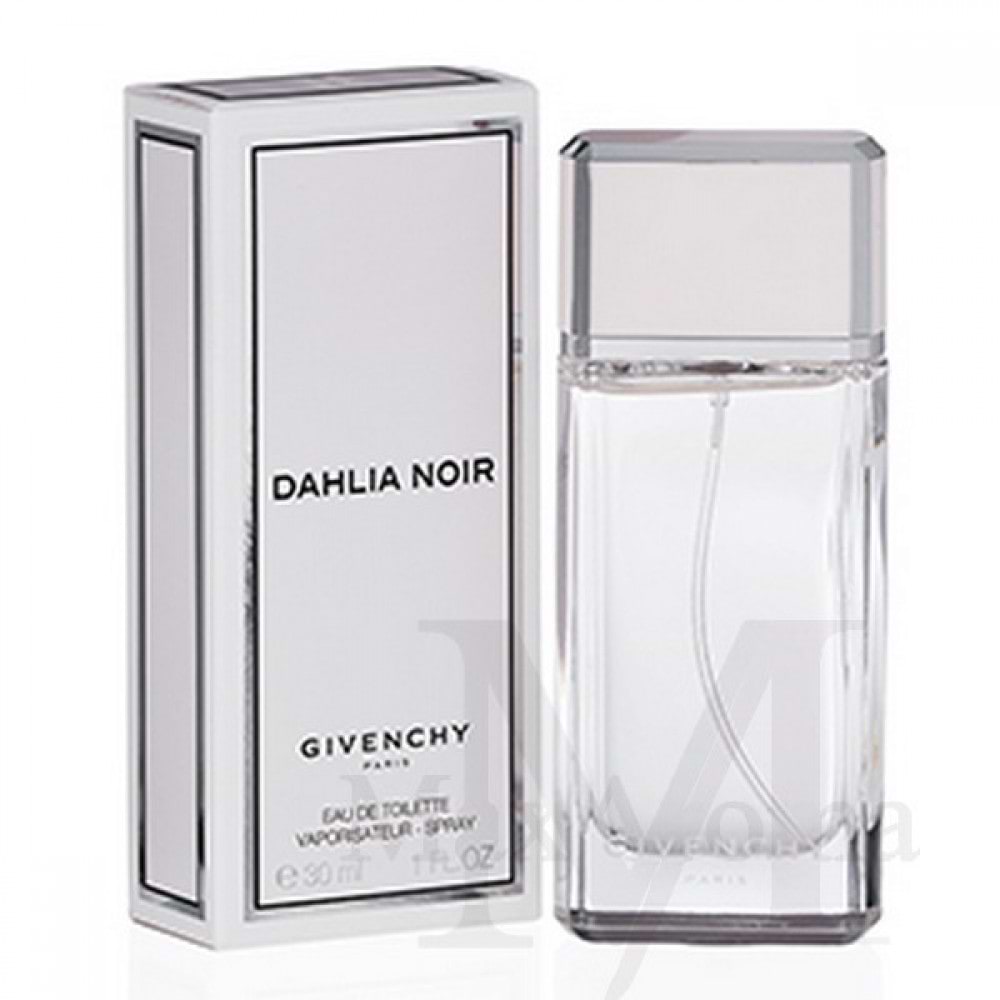 Dahlia Noir 