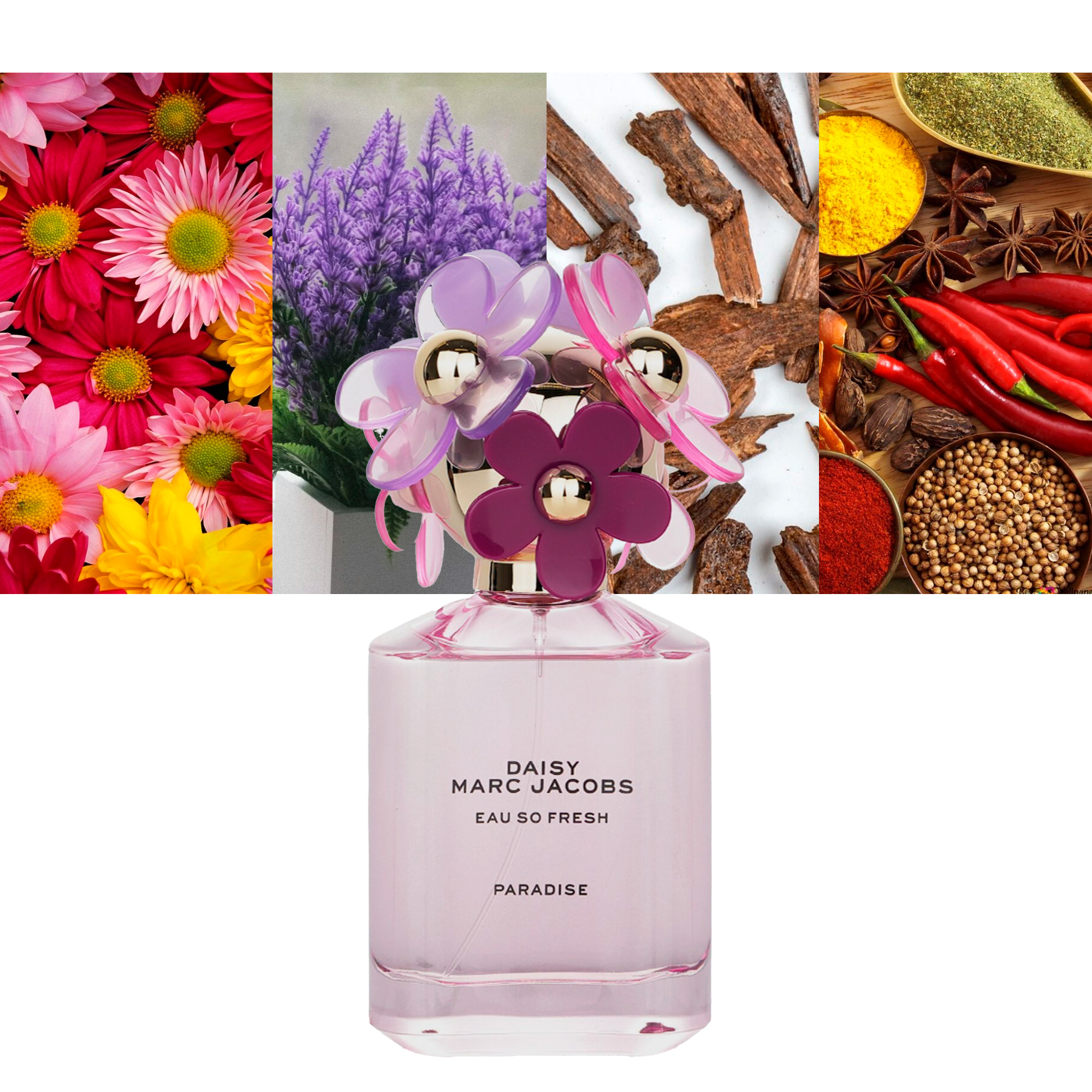 Daisy Eau So Fresh Paradise 