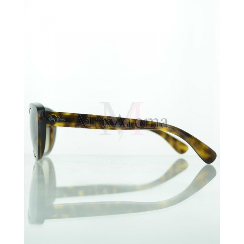 RB 4227 Sunglasses 