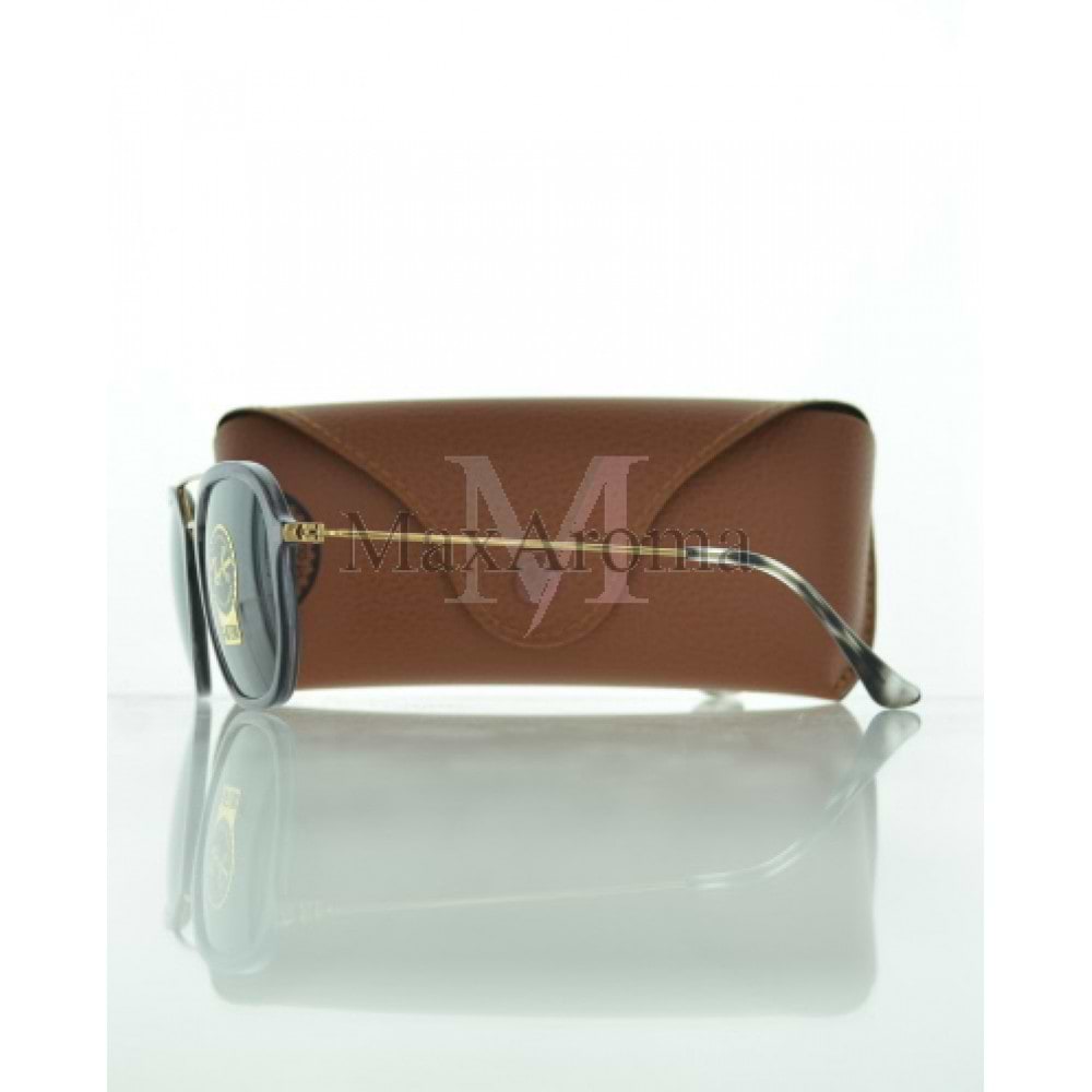 RB 4227 Sunglasses 