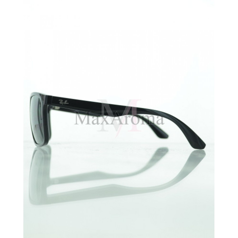RB 4232 Sunglasses 