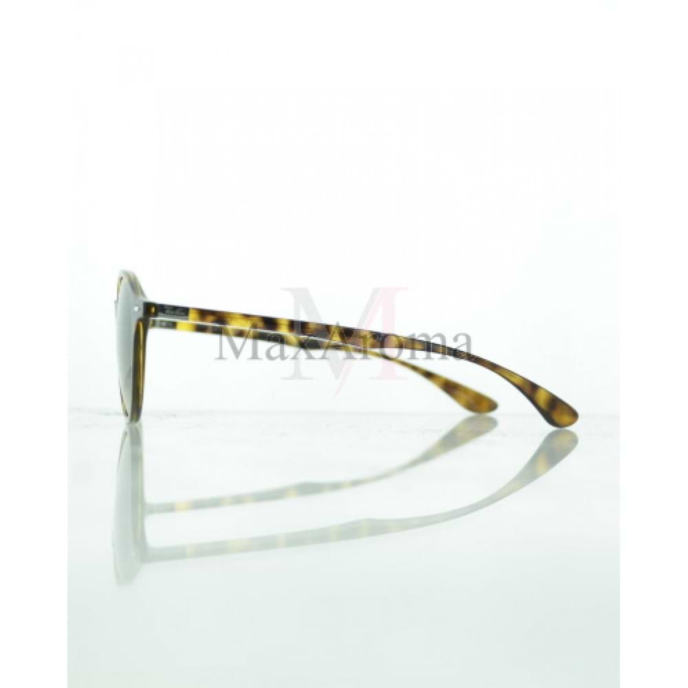 RB 4237 Sunglasses 