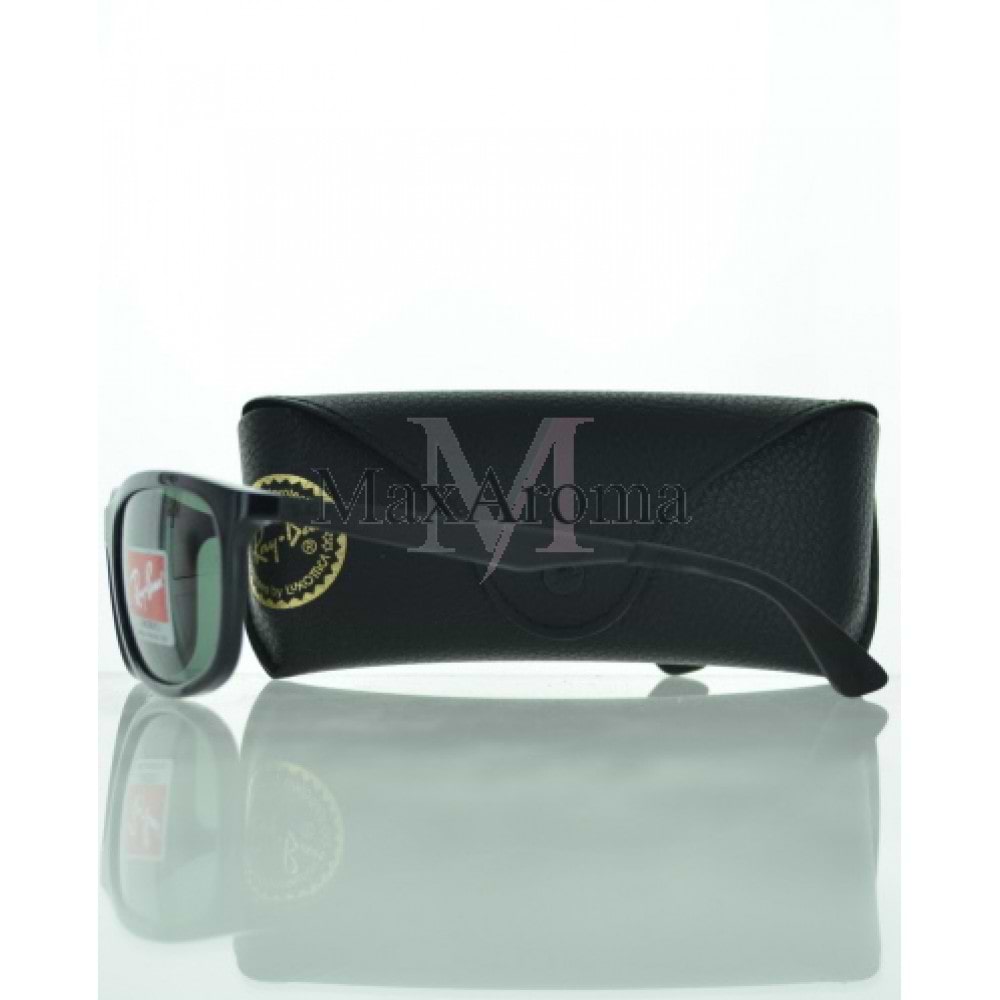 RB 4267 Sunglasses 