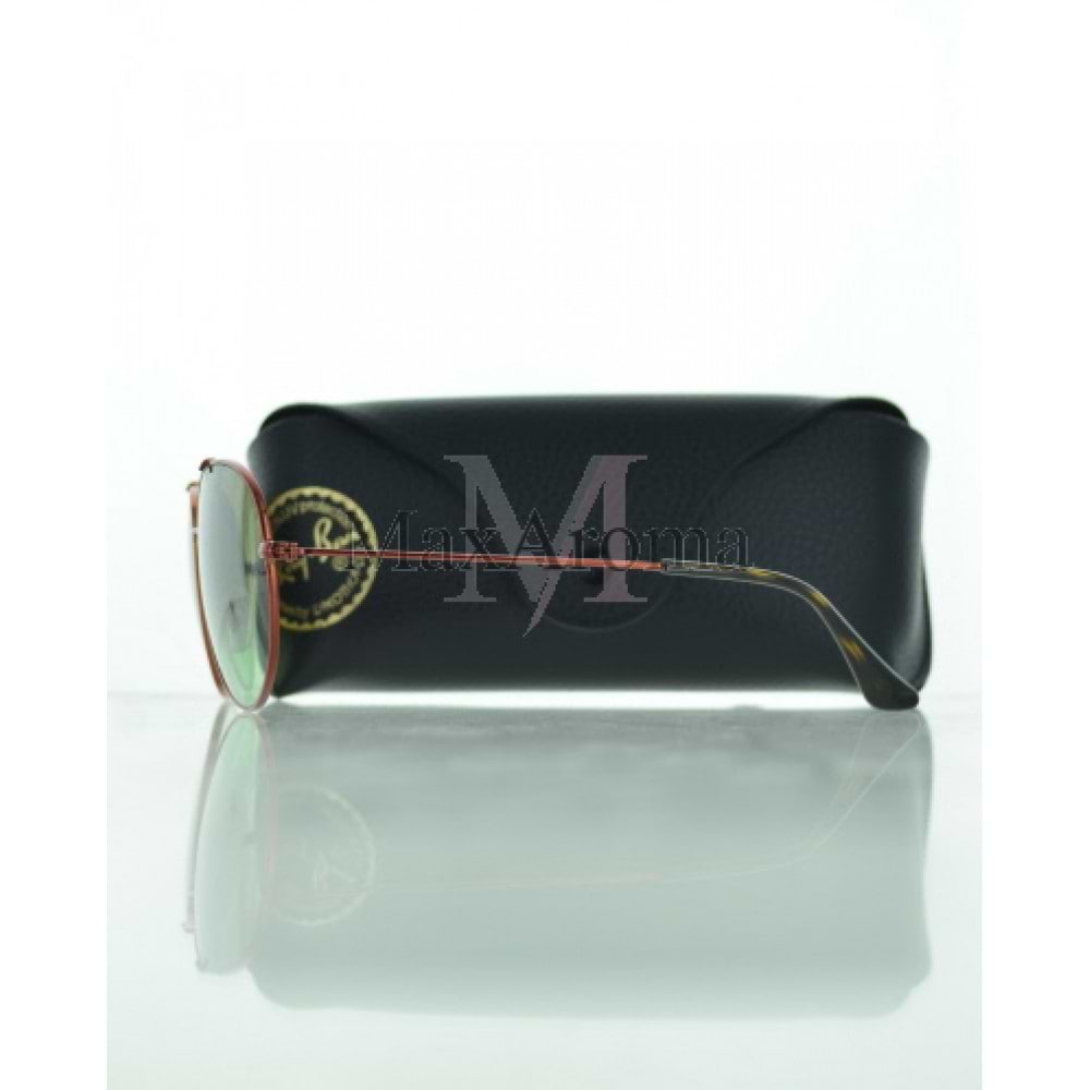 RB 3540 Sunglasses 