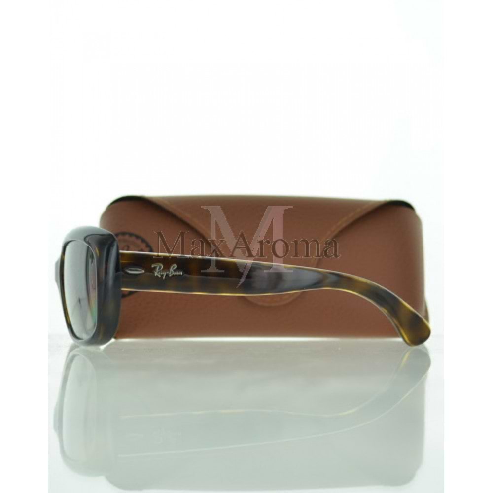 RB 4101 Sunglasses 