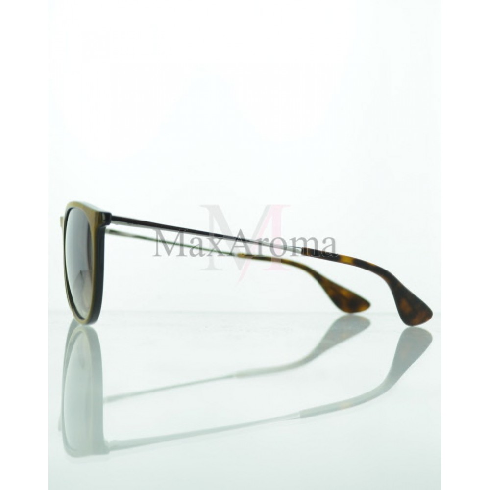 RB 4171 Sunglasses 